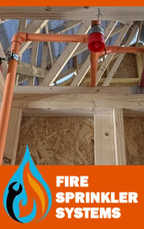 images/CCFS.jpg#joomlaImage://local-images/CCFS.jpg?width=206&height=327